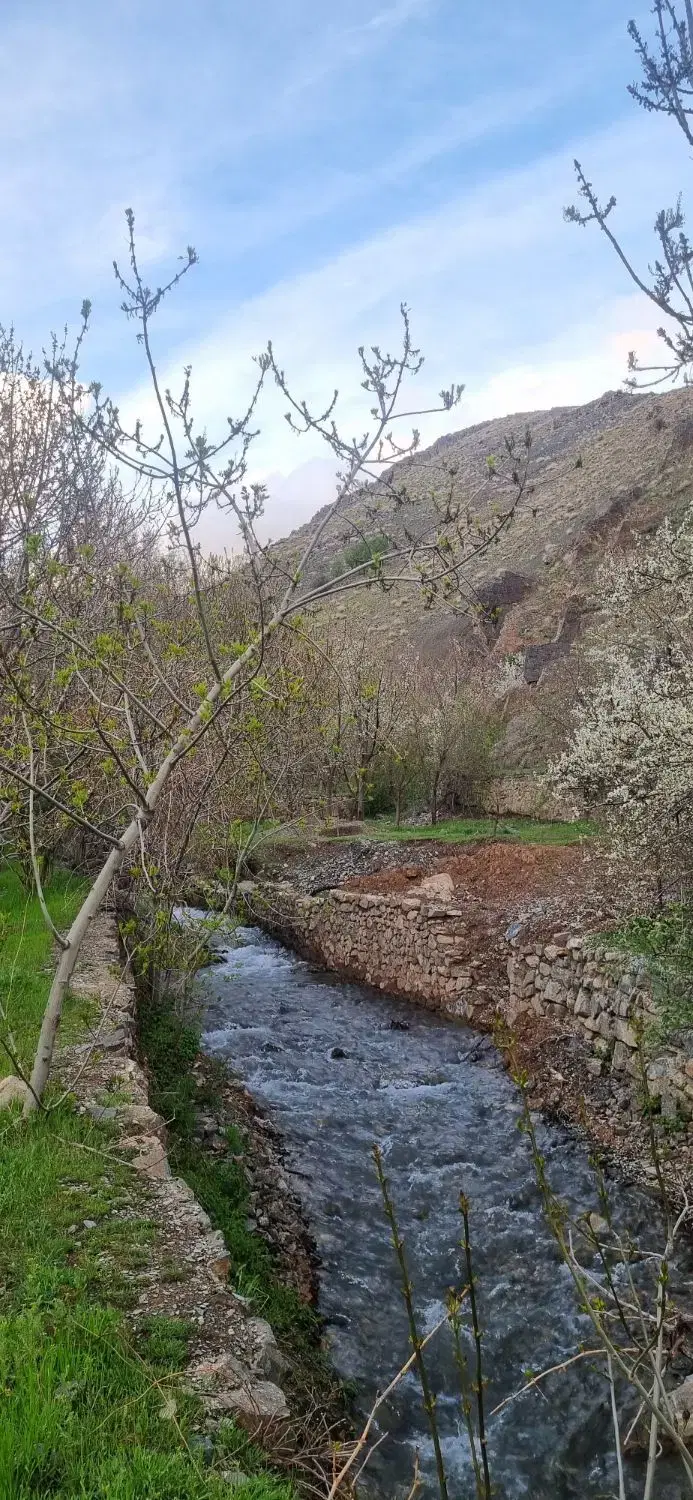 زمین حاشیه بلوار شاهنامه