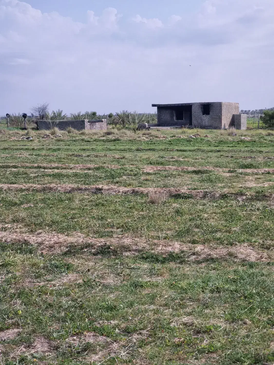 زمین کشاورزی فلکه ارجان