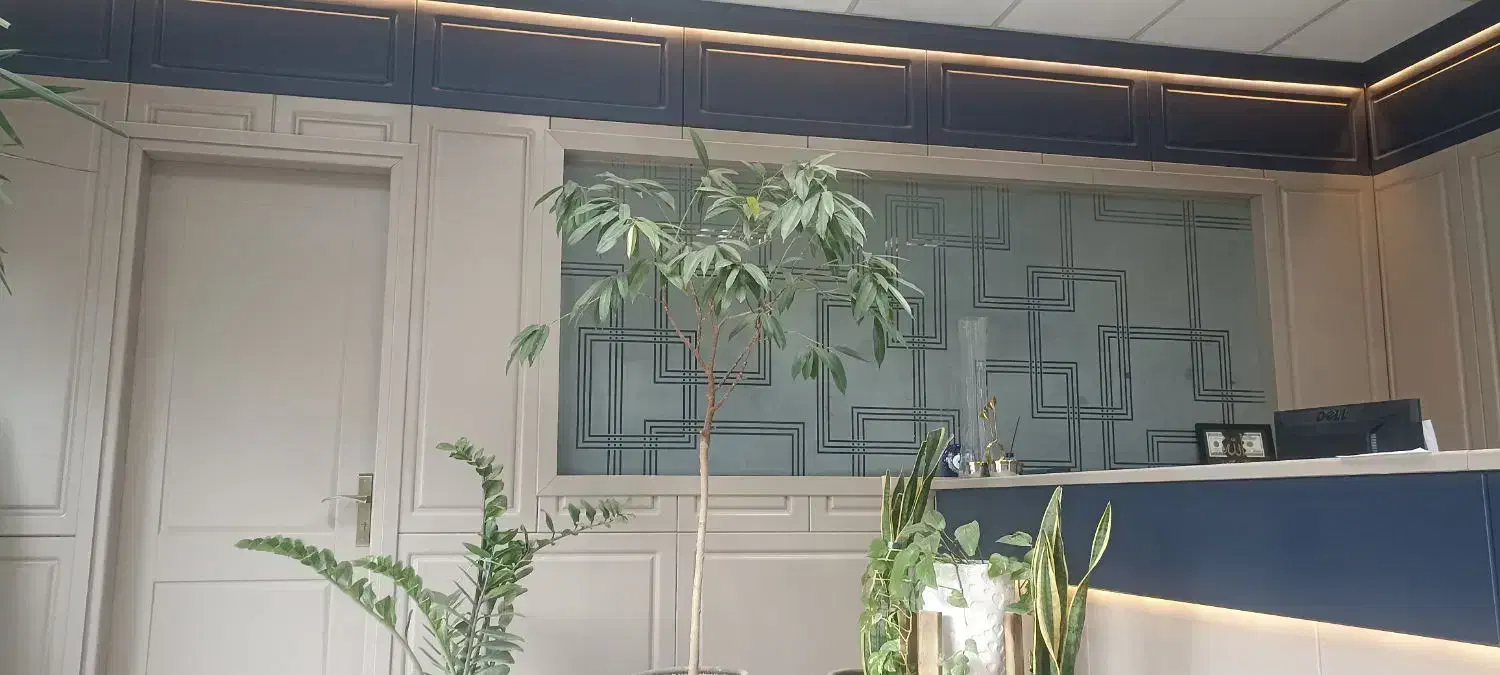همخونه میخوام