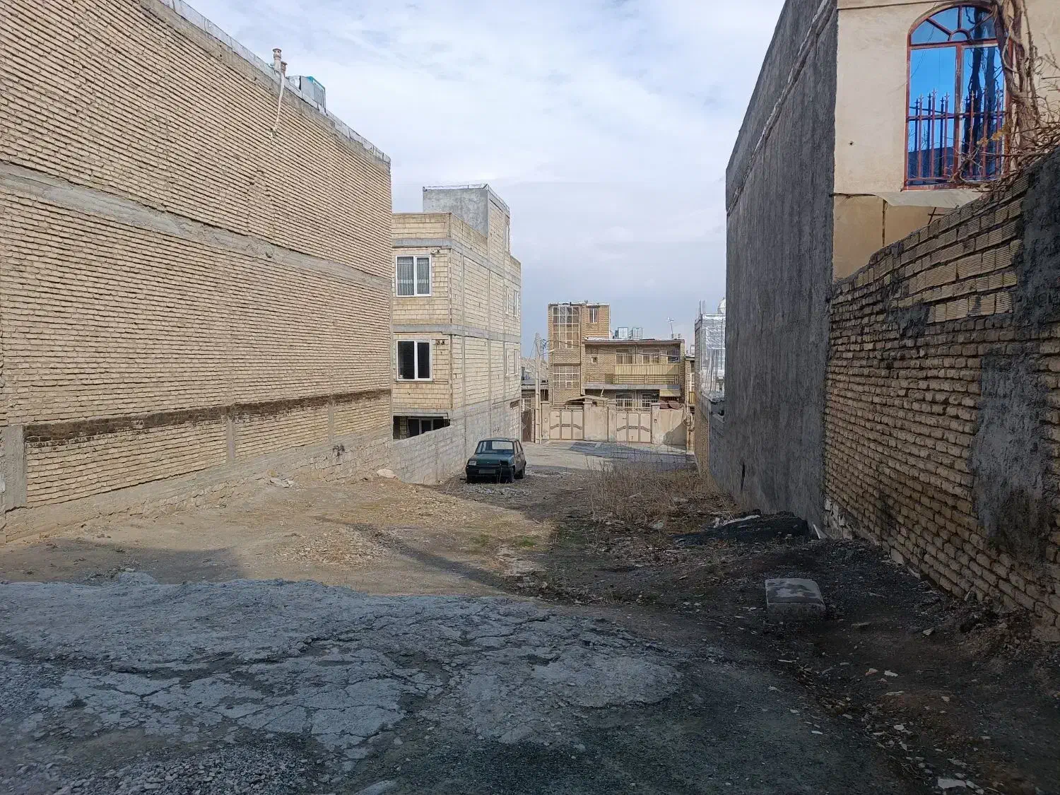 زمین سند تک برگ
