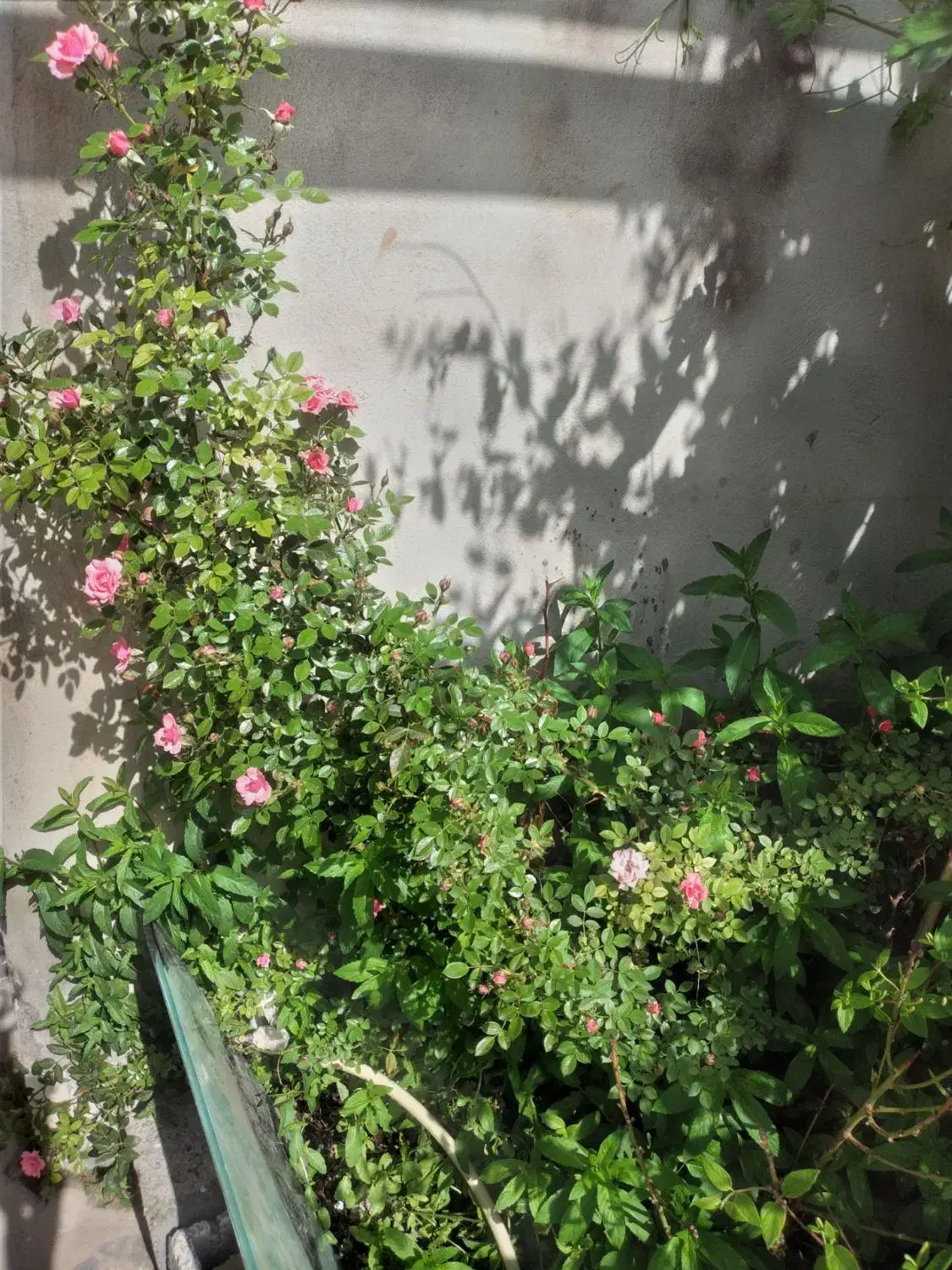 منزل خانه۲۰۰متری ۳خوابه