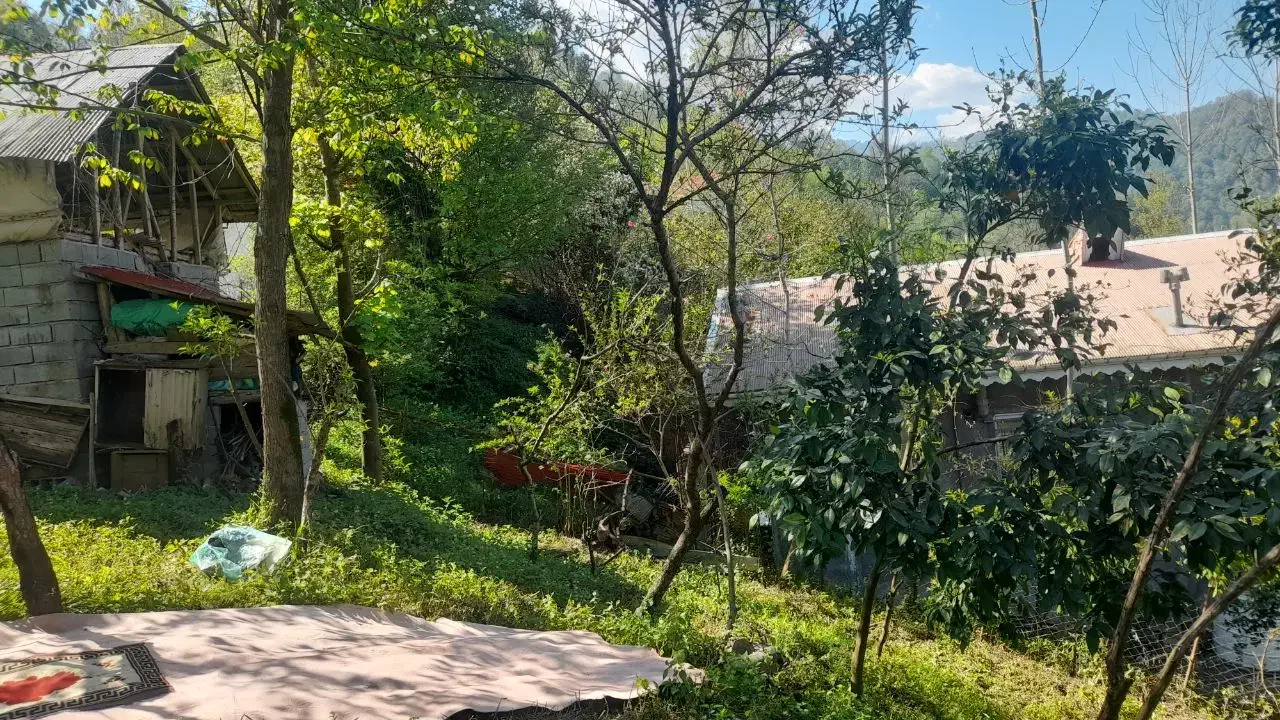 زمین مسکونی