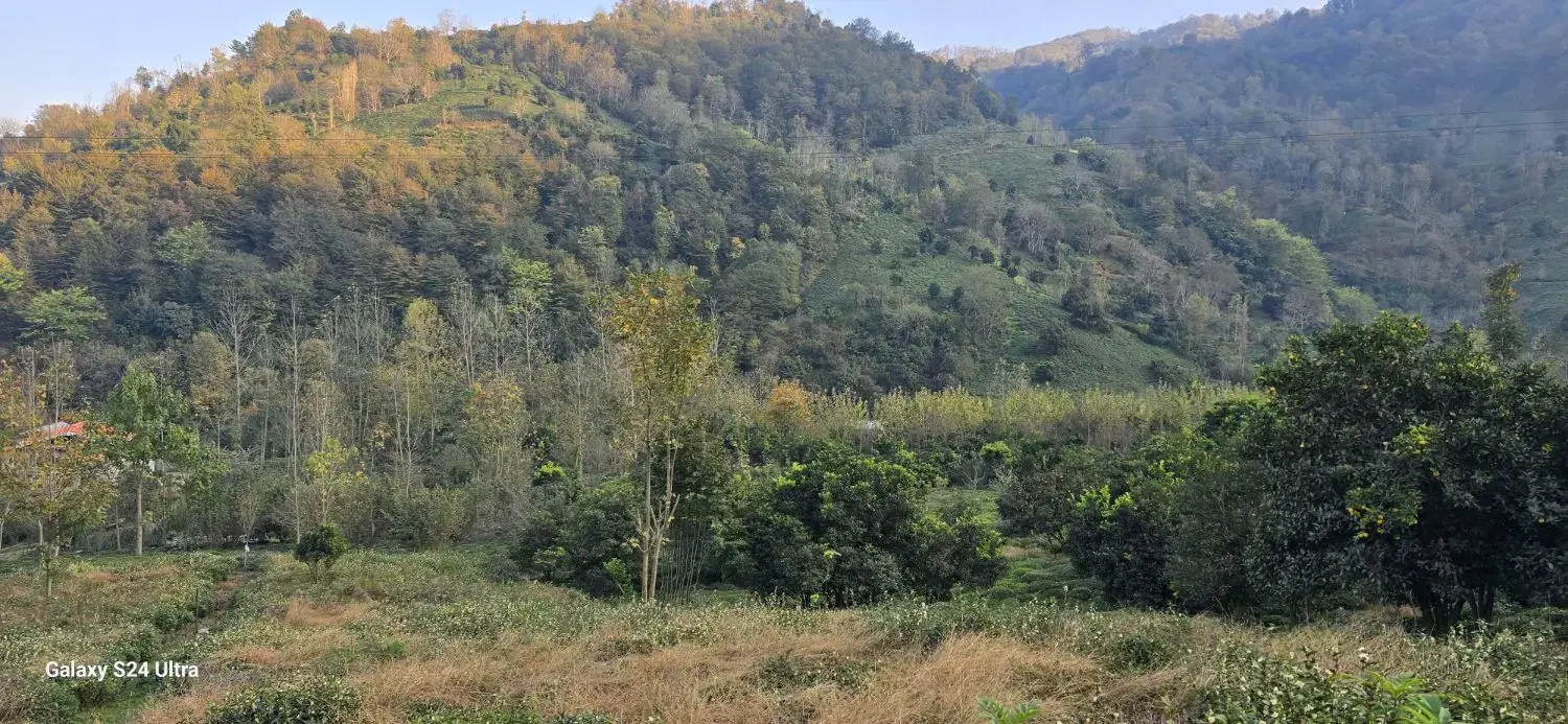 780 متری مسکونی (سند دار)