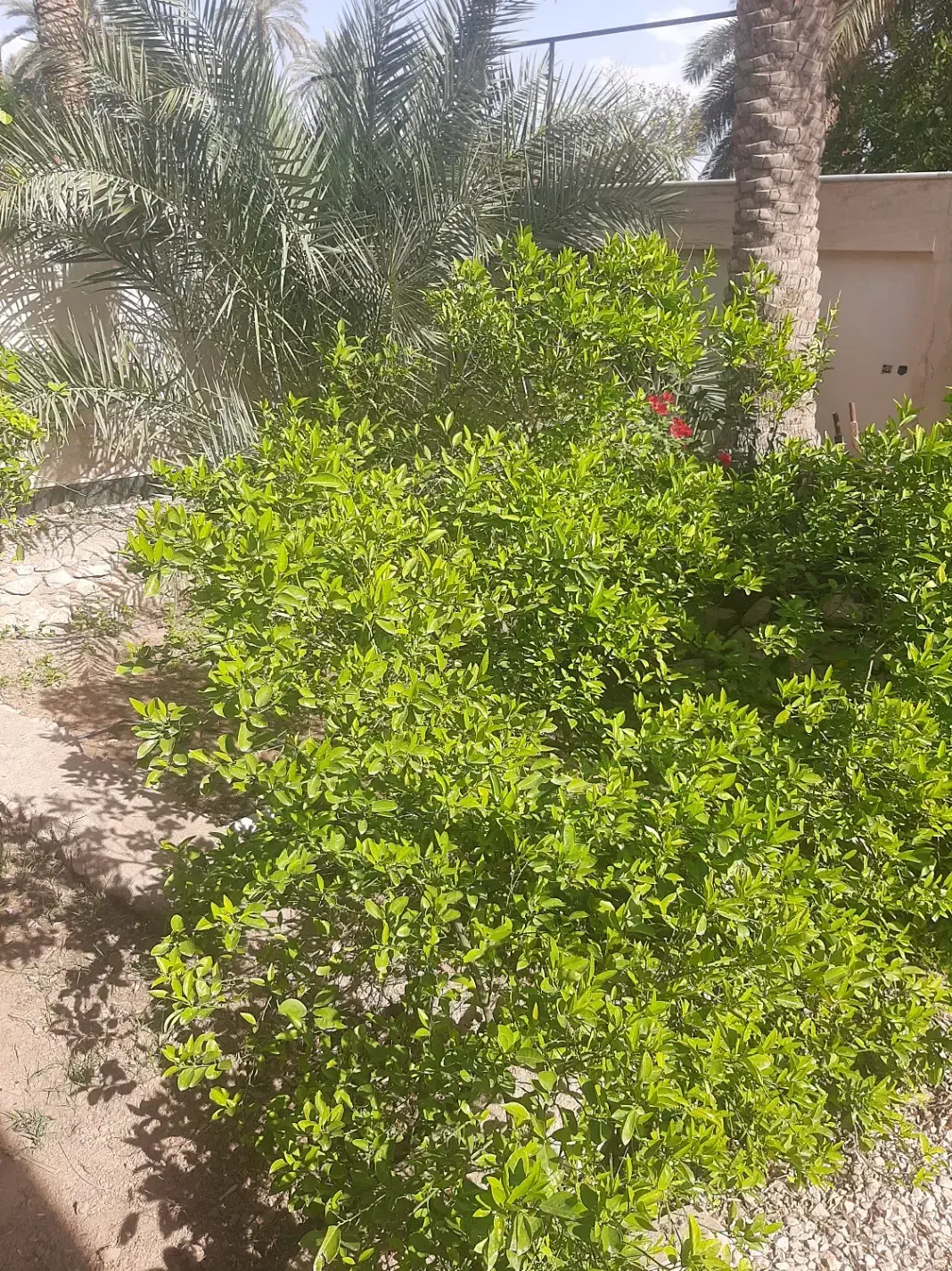 فروش زمین