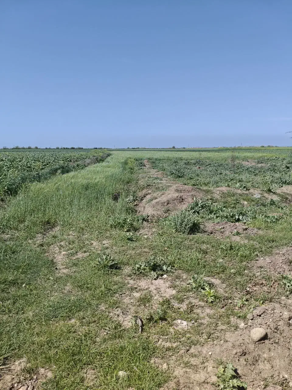 باسلام دوهزار مترزمین در روستای میزاپانگ
