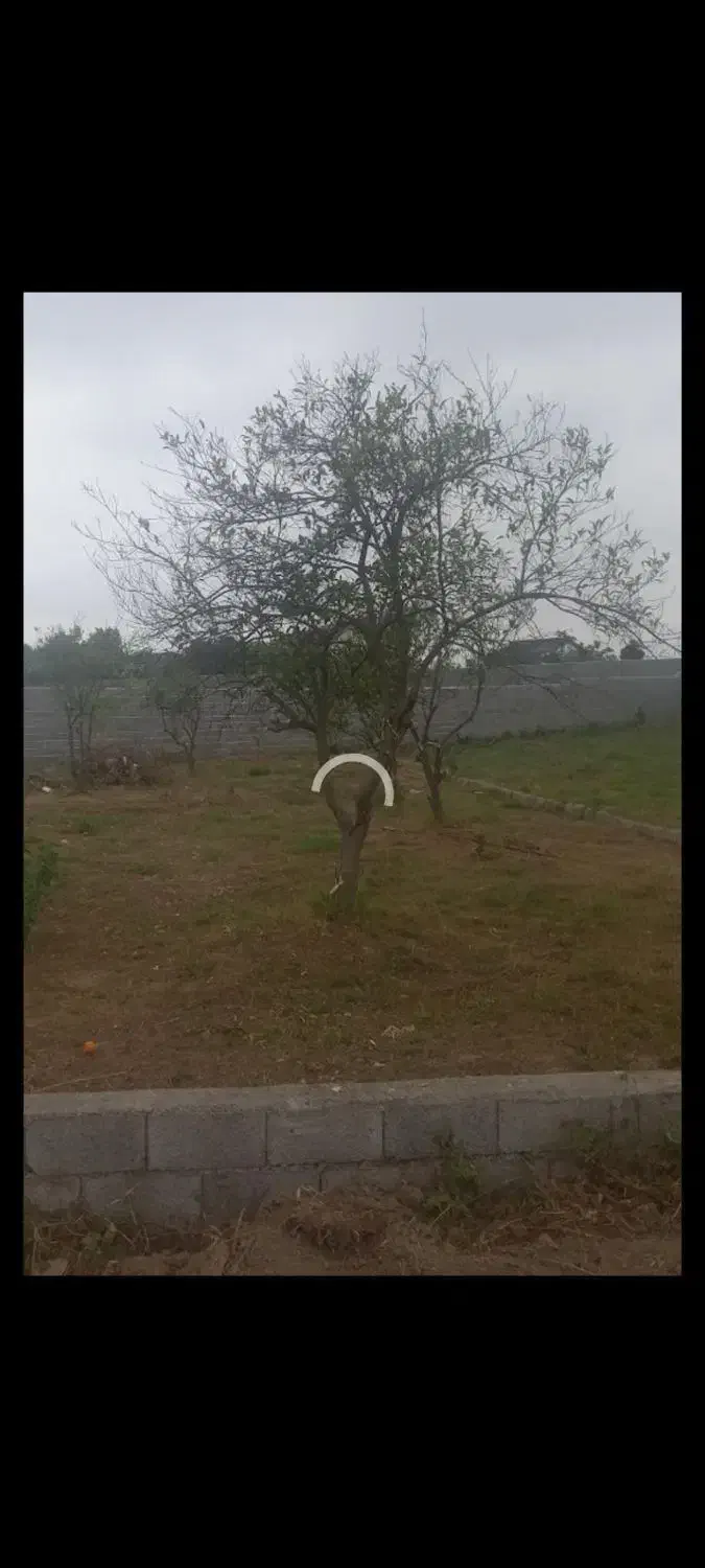 چاف چمخاله ۱۵۷ متر قابل ساخت