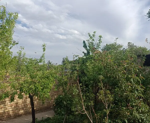سازمانی مینو خرمدره