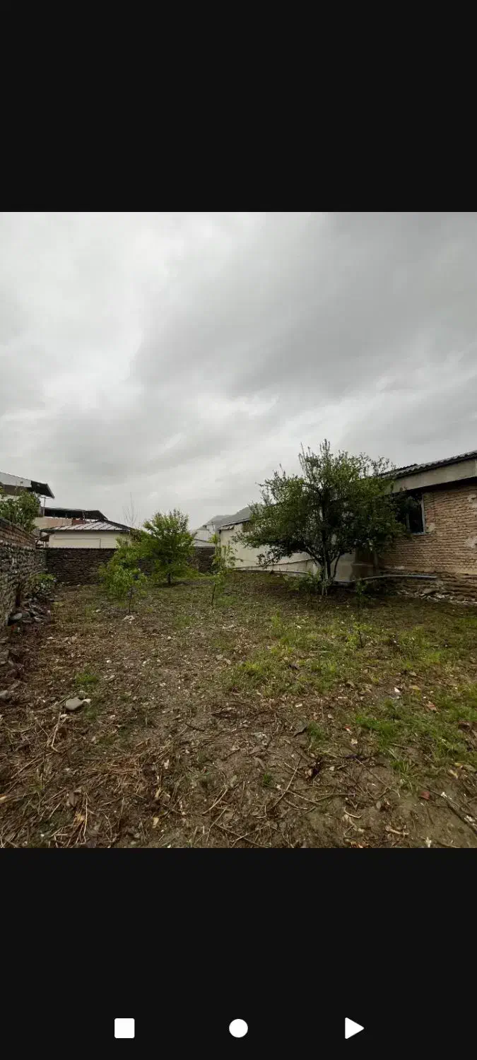 زمین سند دار تک برگ