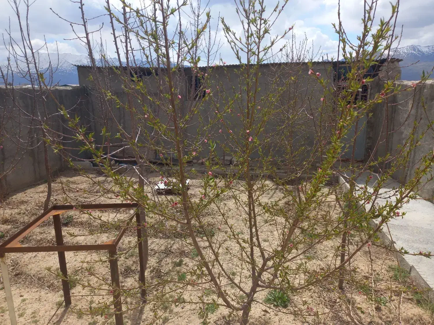 خونه ویلایی