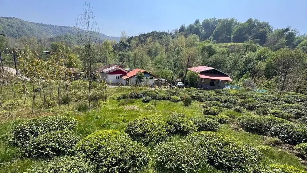 ۴۰۰مترزمین مسکونی با پروانه باویوابدی تو دل بهشت