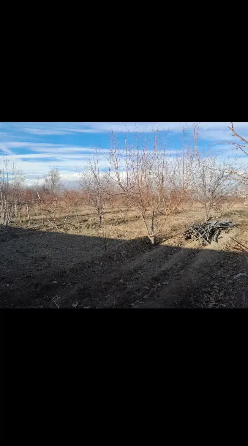 زمین روستای سلیمانیه و محمودآباد مناسب خانه باغ