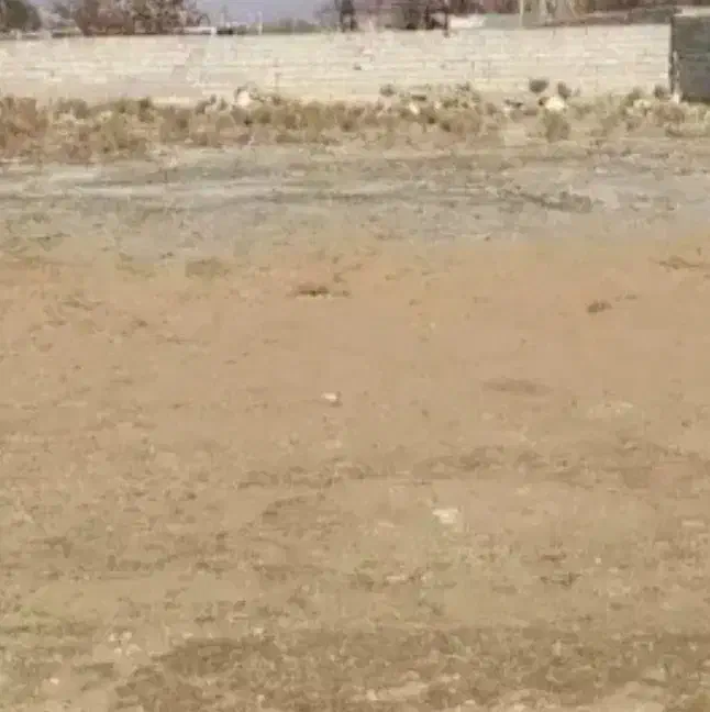 ۱۱۰۰متر زمین داخل چهار دیواری