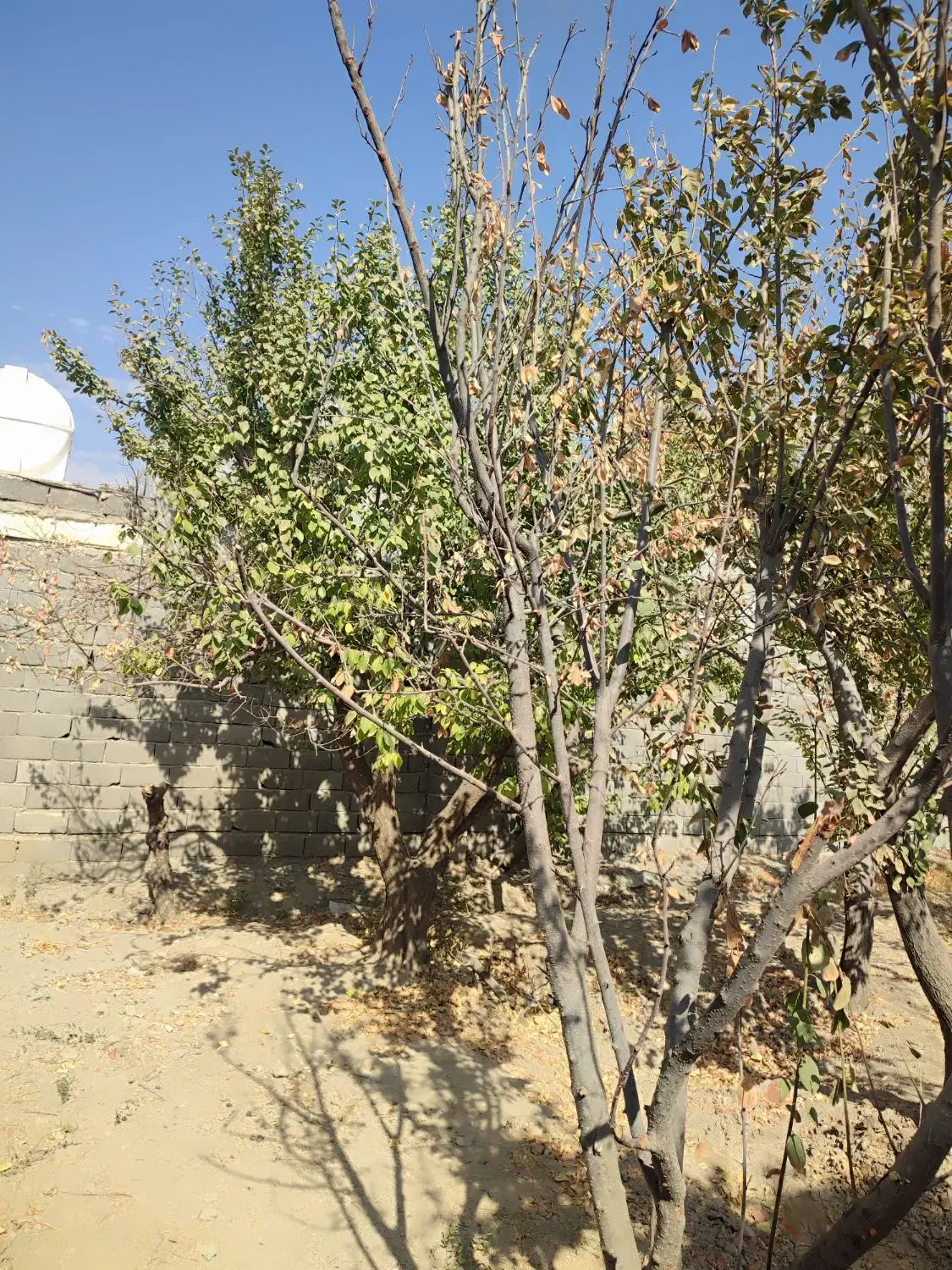 باغ چهار دیواری ۵۰۰ متری با بنای قدیمی شهریار