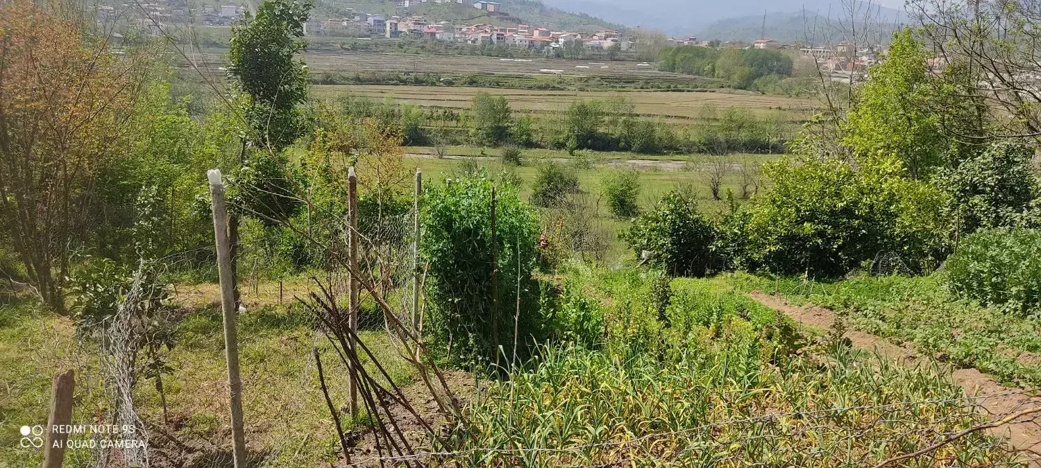 باغ و زمین مسکونی شهری اطاقور