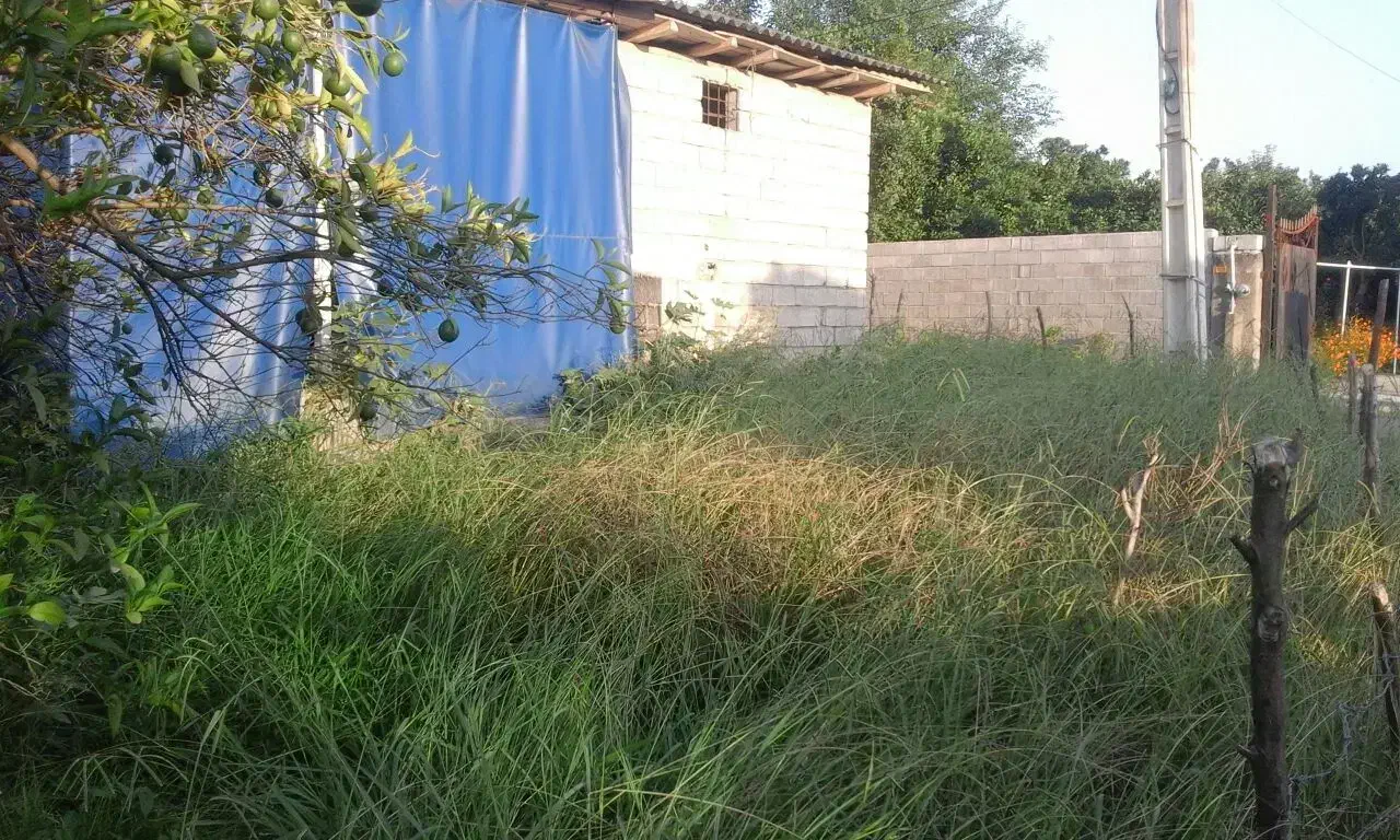 زمین مسکونی رامسر شستا