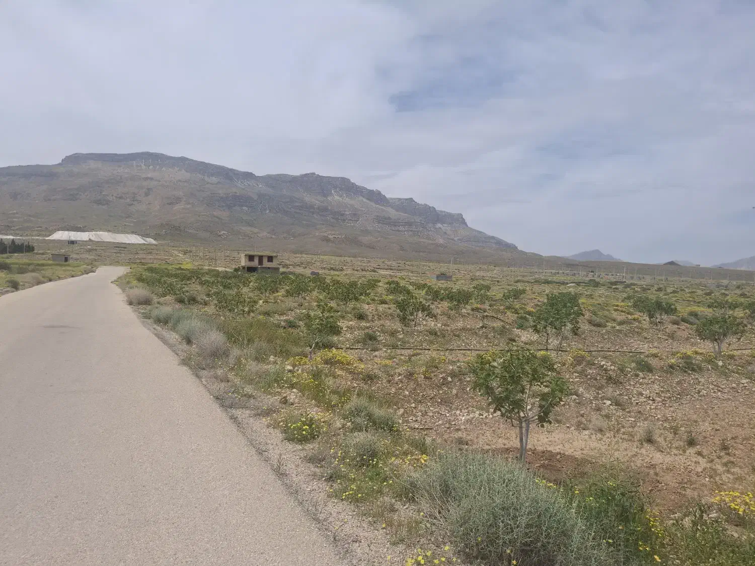 باغ انجیر و زمین بر جاده شهرک سنگ موقعیت عالی