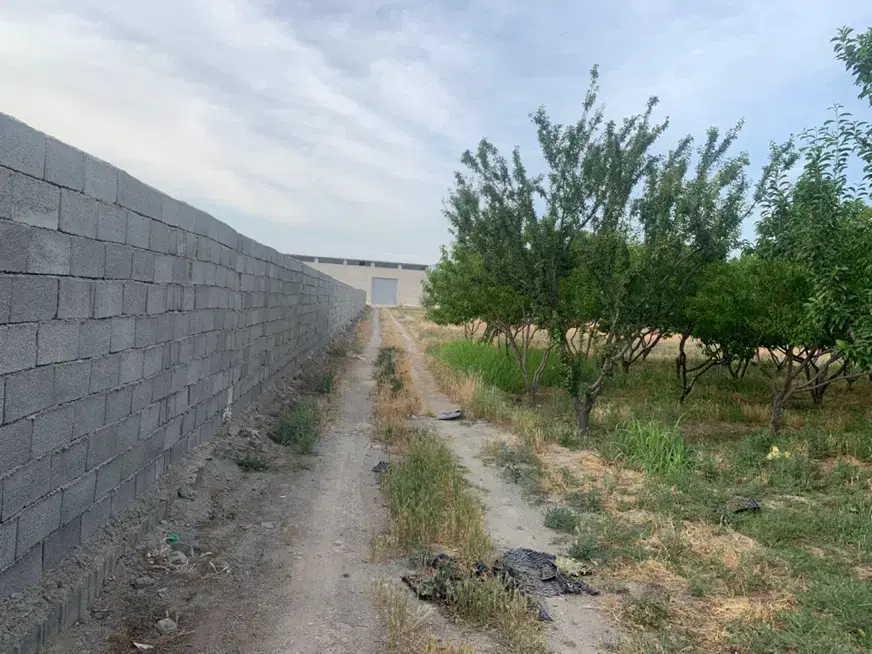 ۲۵۵۰ متر باغ میوه