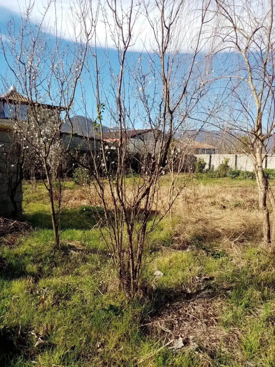 فروش زمین و خانه