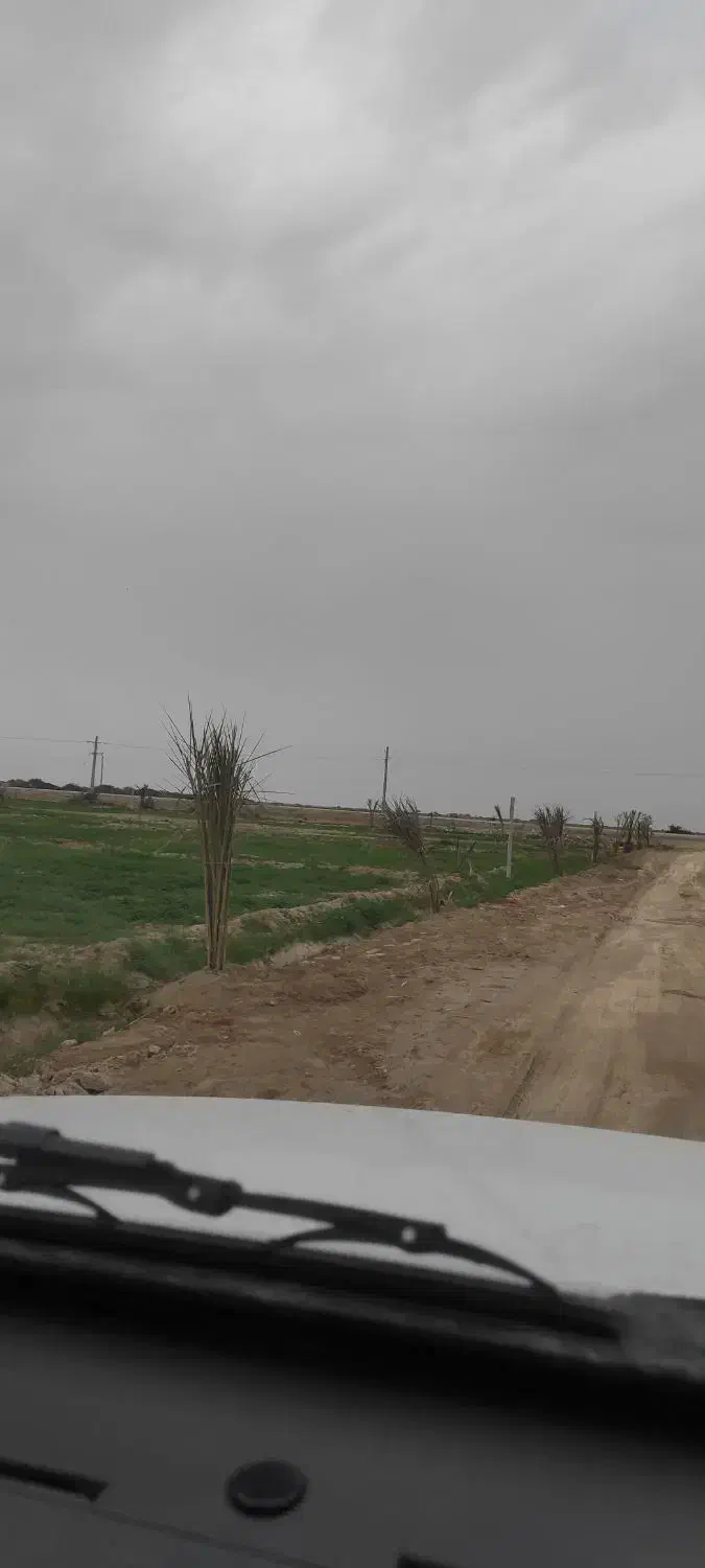 فروش زمین باغی