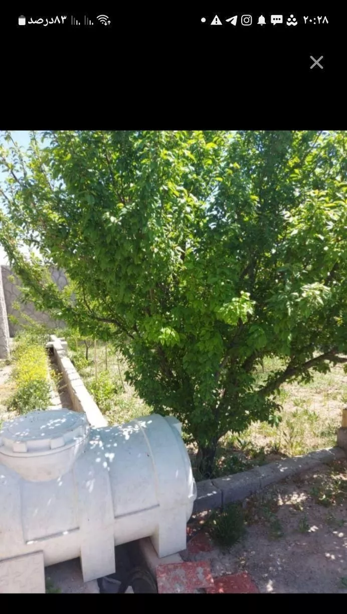 باغ ۴۵۰ متر در باغ معروف