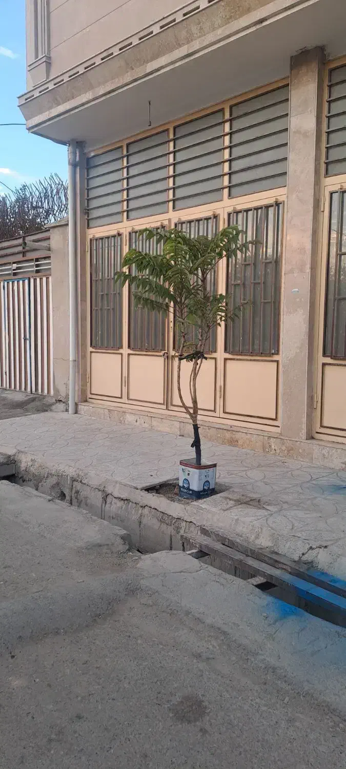 مغازه فروشی قلعه حاتم