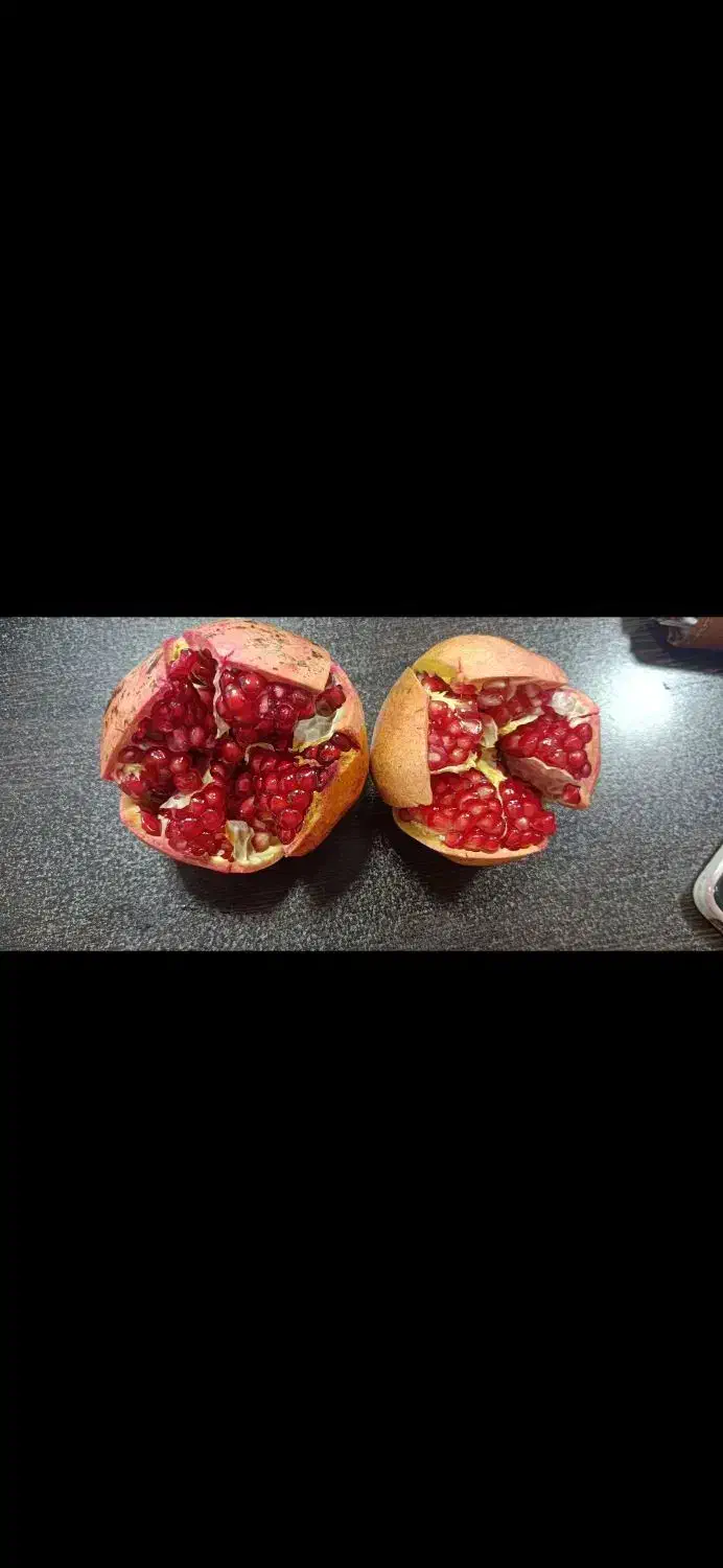 باغ انار