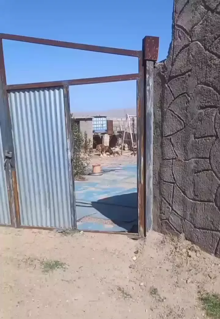 باغ در ناسیونال فروشی