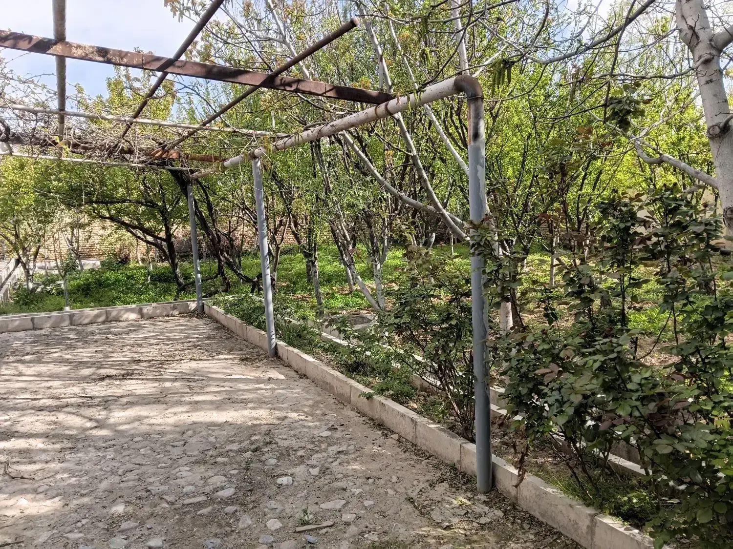 باغچه نظرآباد