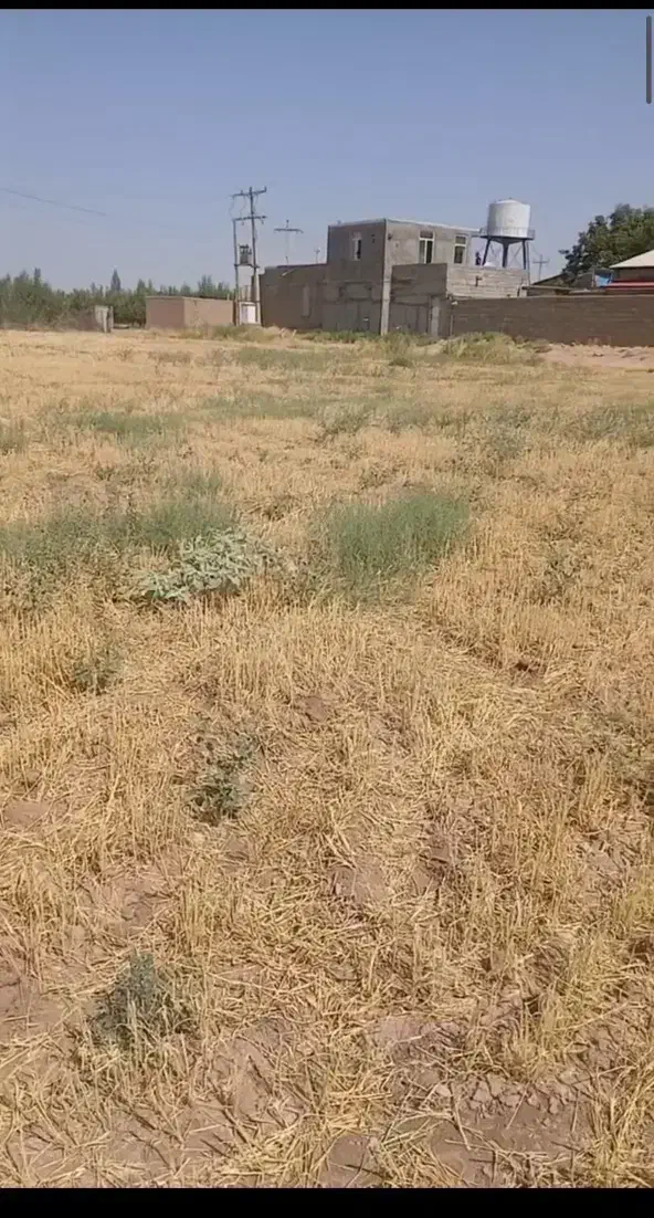 اجاره سه هکتار زمین کشاورزی مرغوب