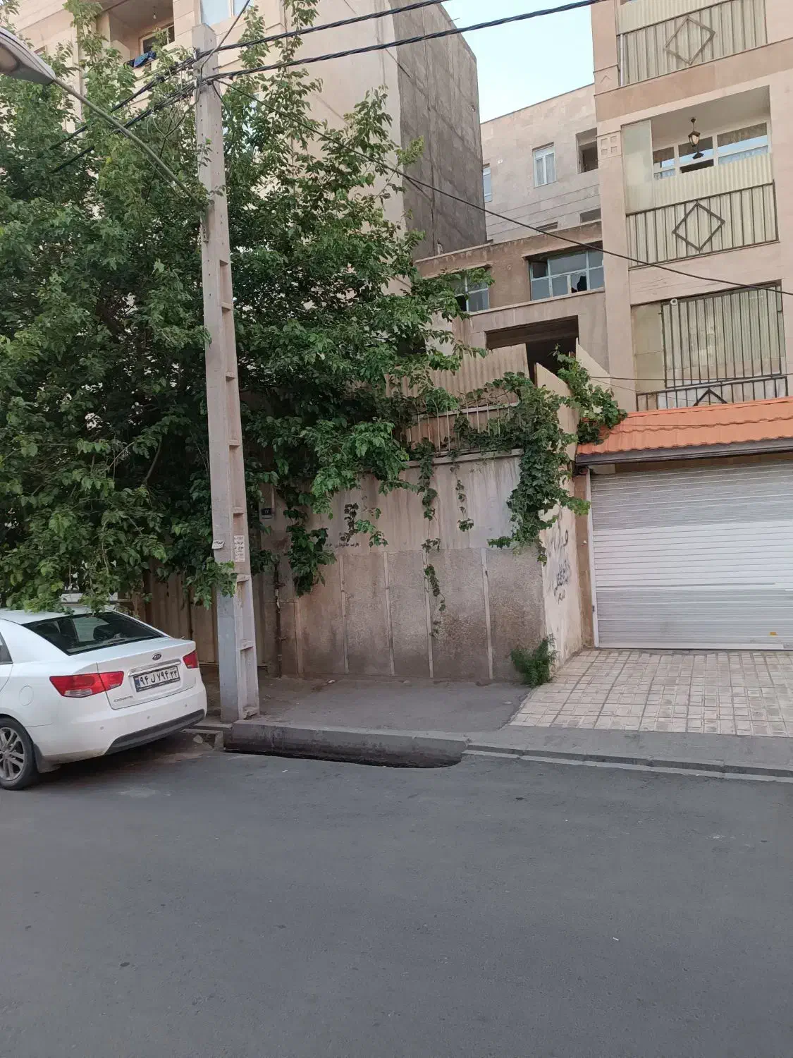 ملک کلنگی فروشی