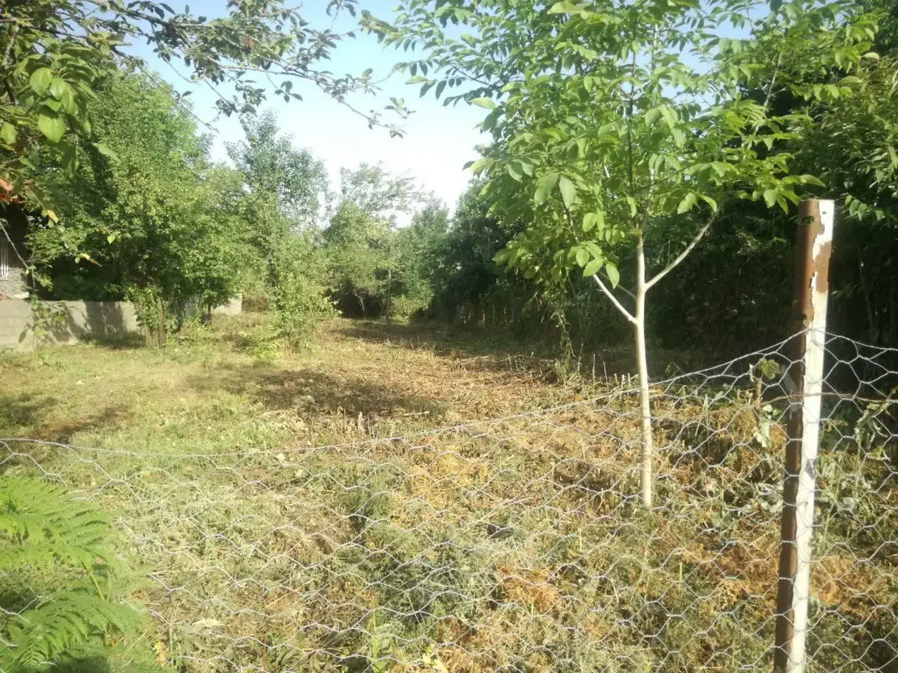 فروش زمین مسکونی،چالکسر