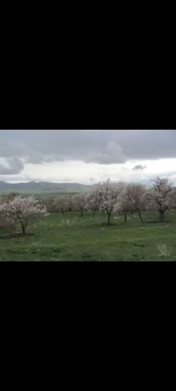 یک قطعه زمین ۱۰۰۰ متری چسبیده به روستای هولاسو