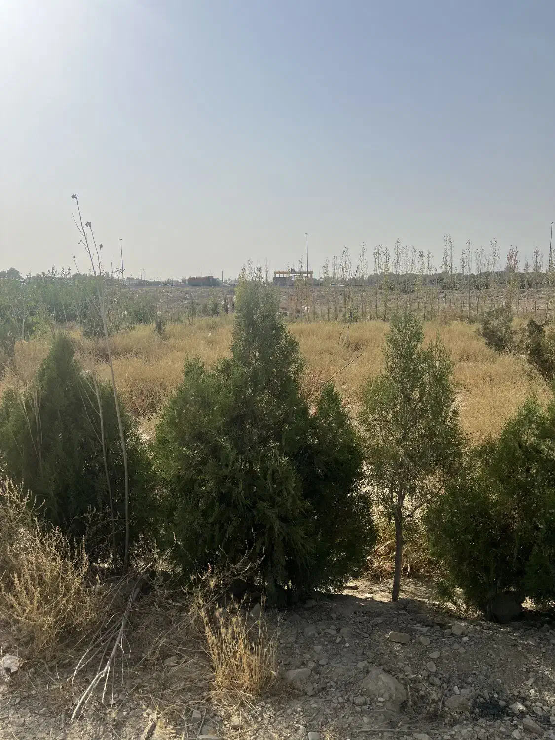 ۲۵۰ متر زمین احمد اباد مستوفی