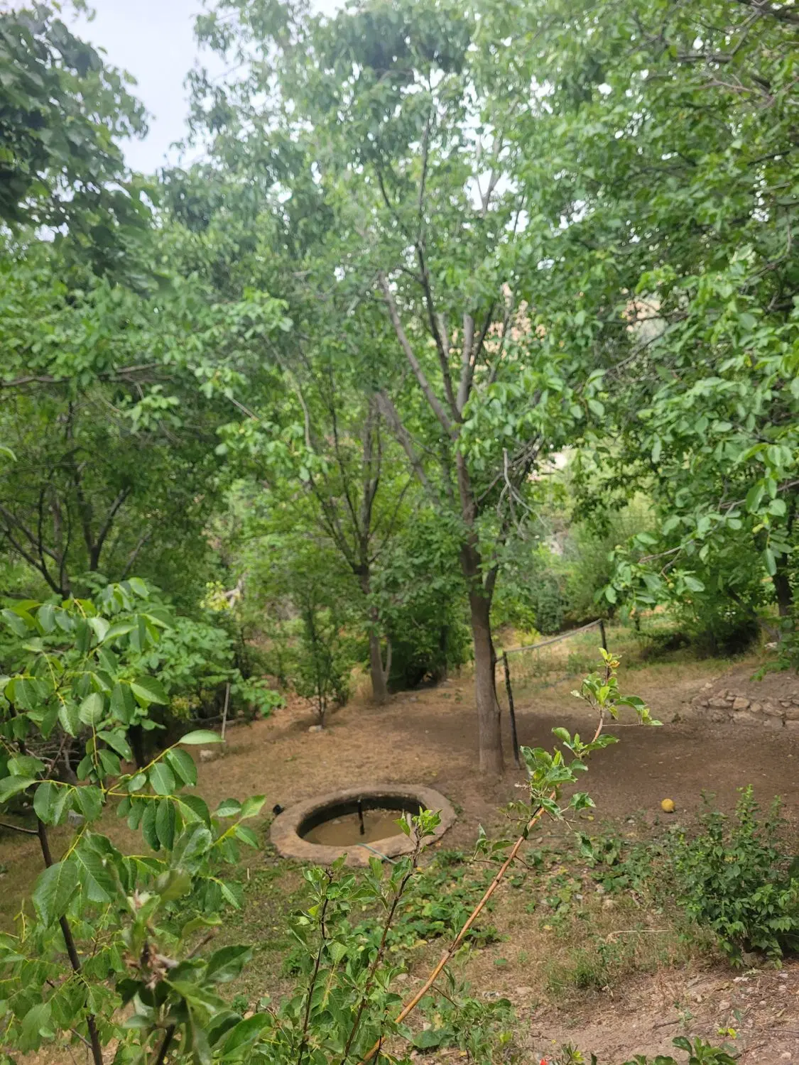 بیا کهکران سپیدان