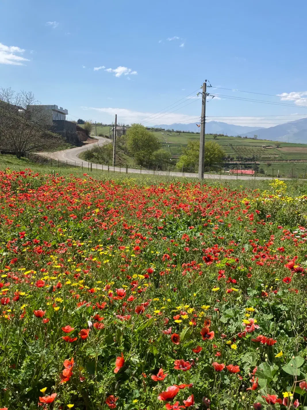 زمین فروشی