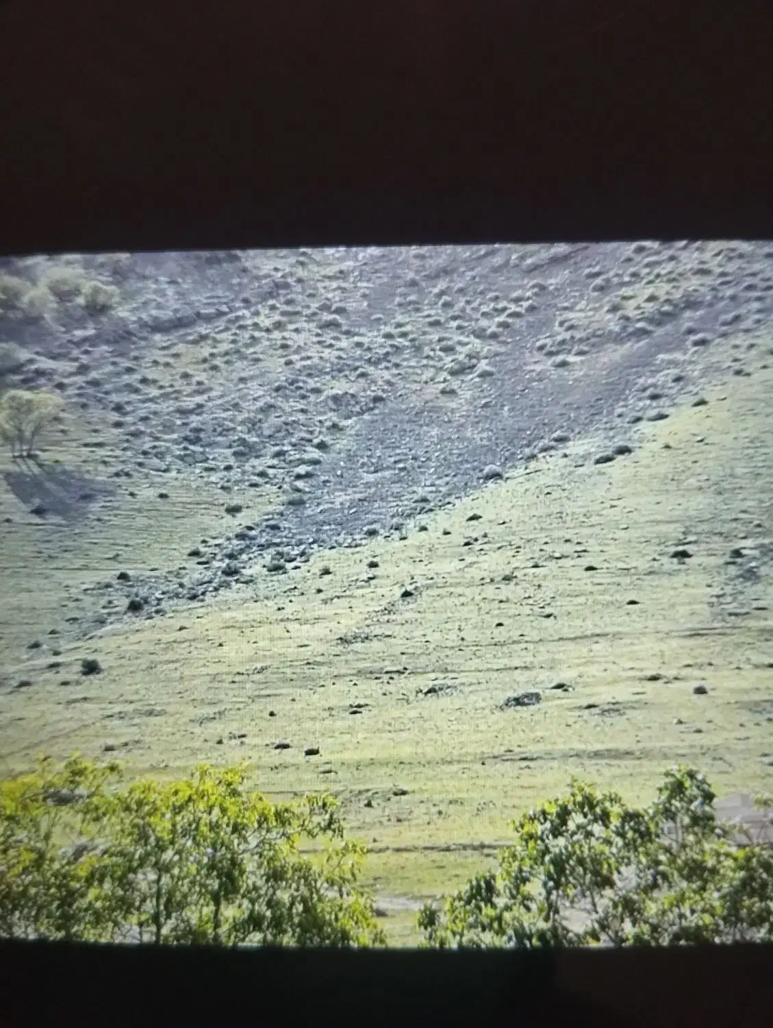 زمین مسکونی