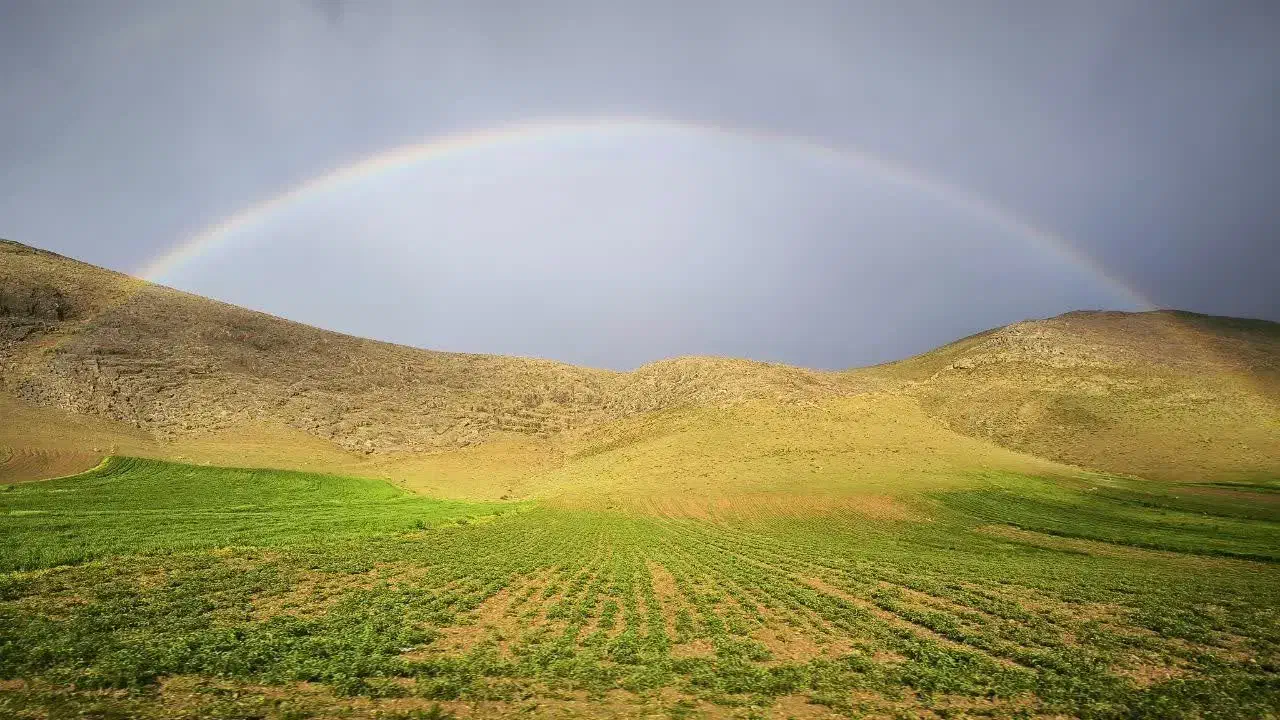 فروش زمین مسکن ملی ۱۸۰متری شهرک الزهرا