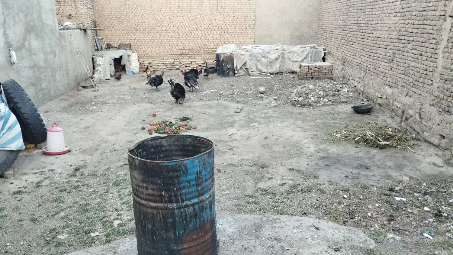 زمین خالی دور تا دور ۴ دیواری