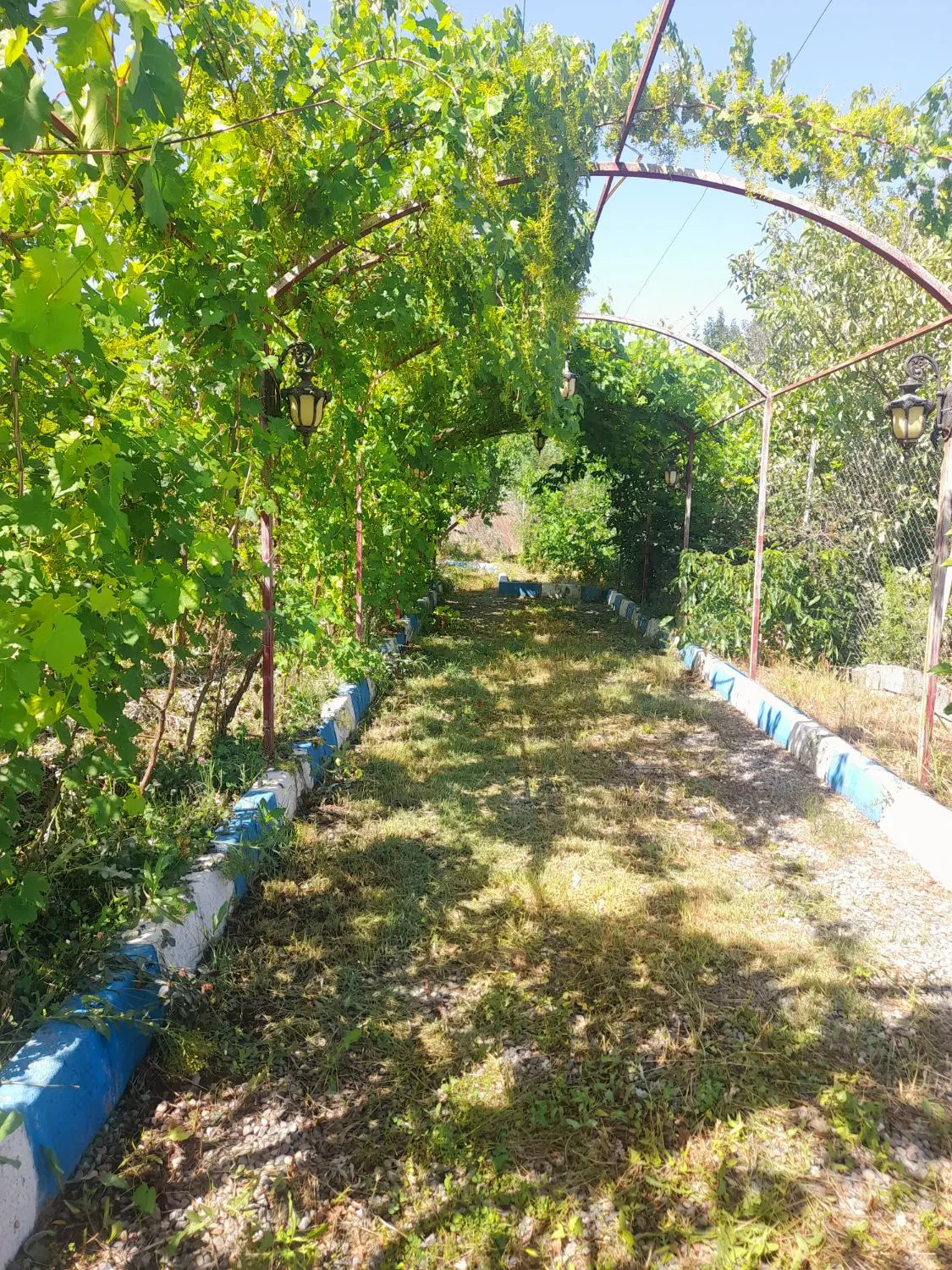 زمین کشاورزی ،جاده سلماس . عربلوی دره