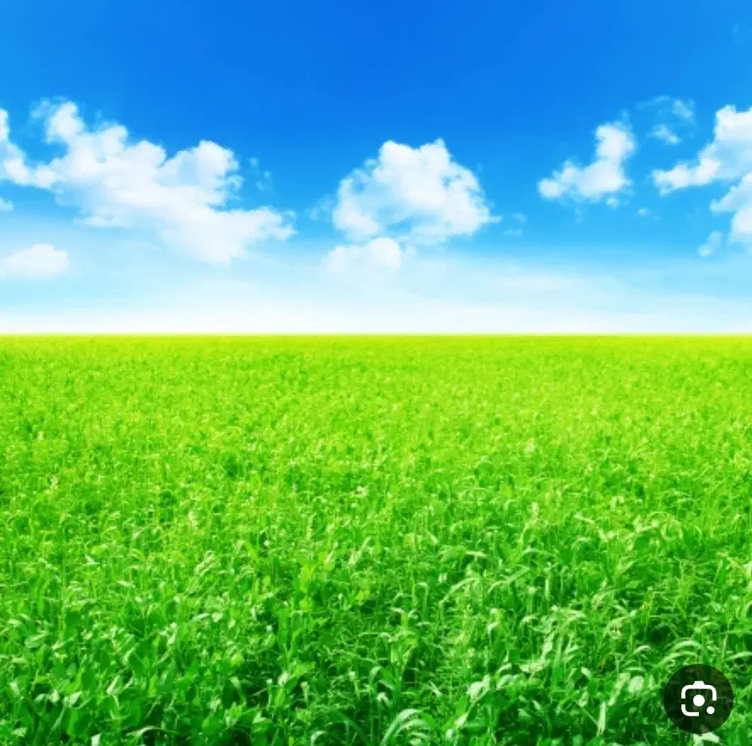 زمین کشاورزی برا باغ