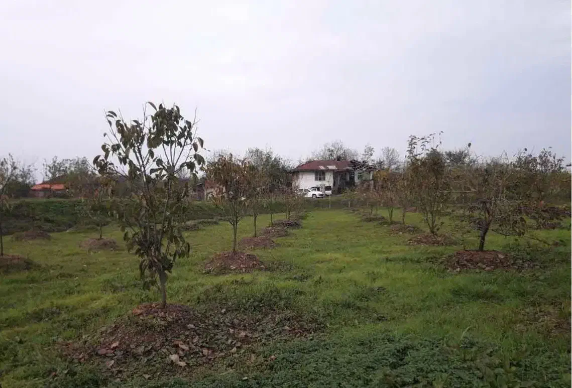 خانه و ویلا فروشی در کوهپایه