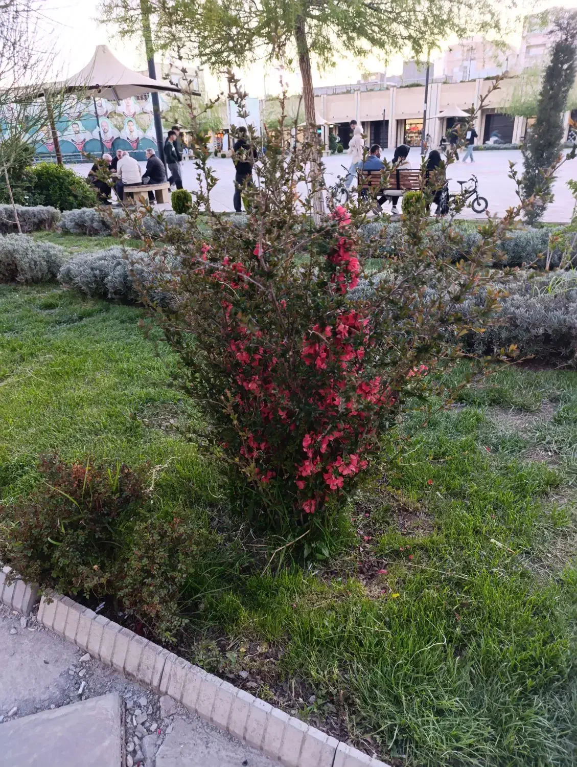 فروش مغازه پاساژ وثوق