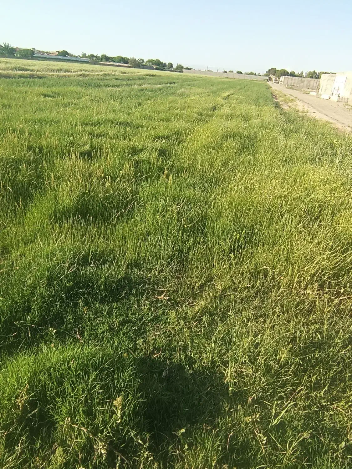 زمین فروشی