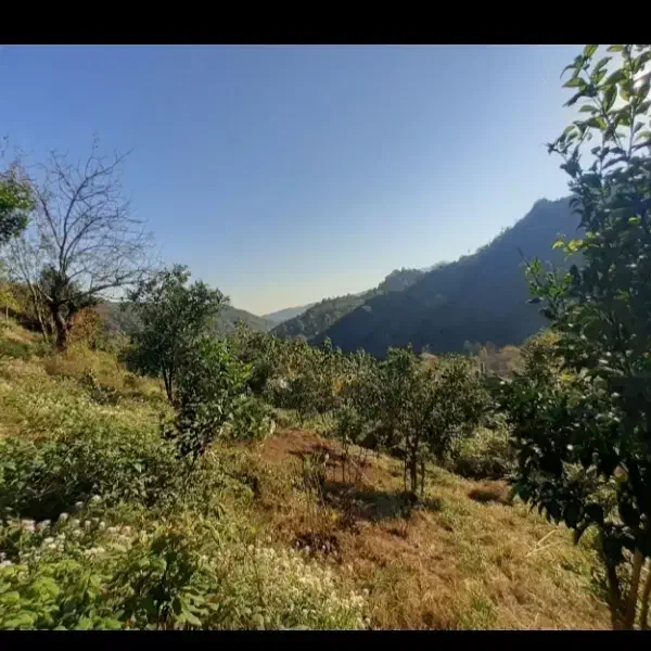 زمین مسکونی
