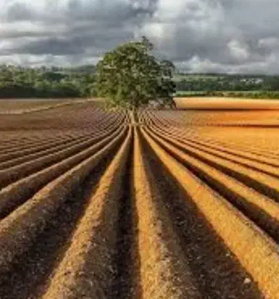 فروش زمین مسکونی