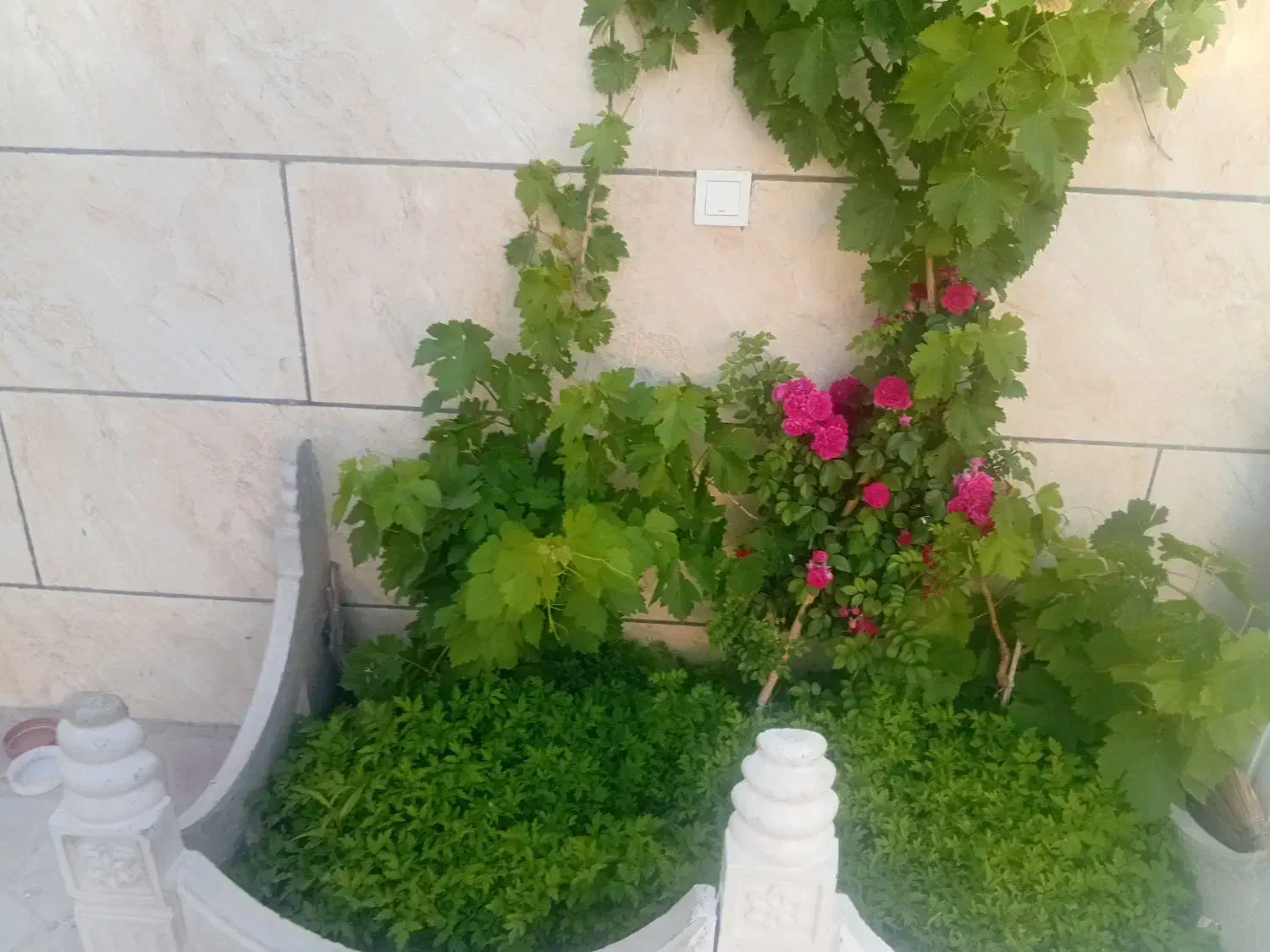باغ ویلا