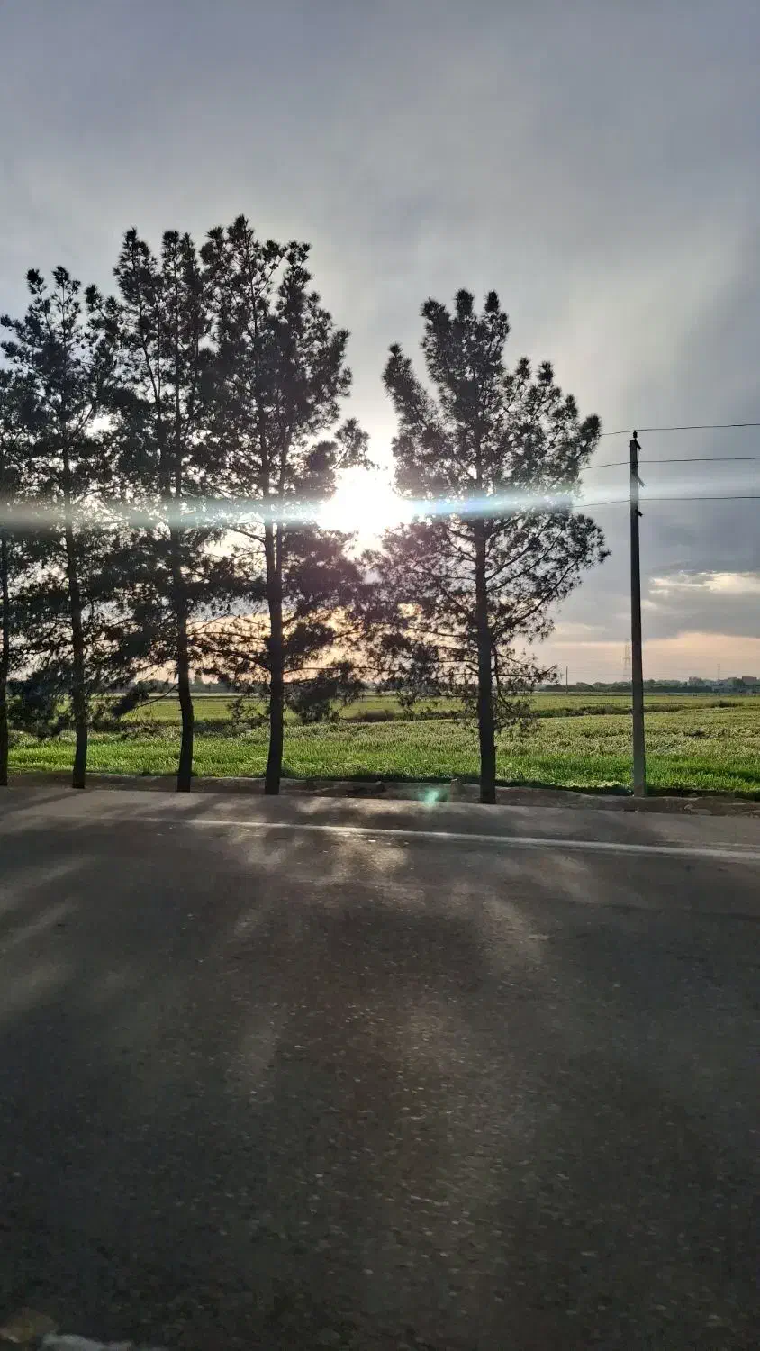 زمین
