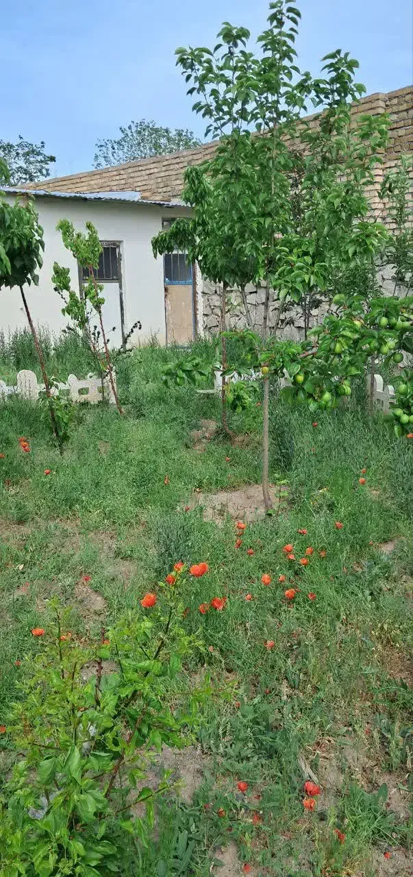 فروش باغ ویلا روستای طبس