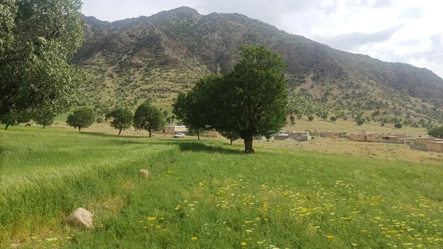 زمین