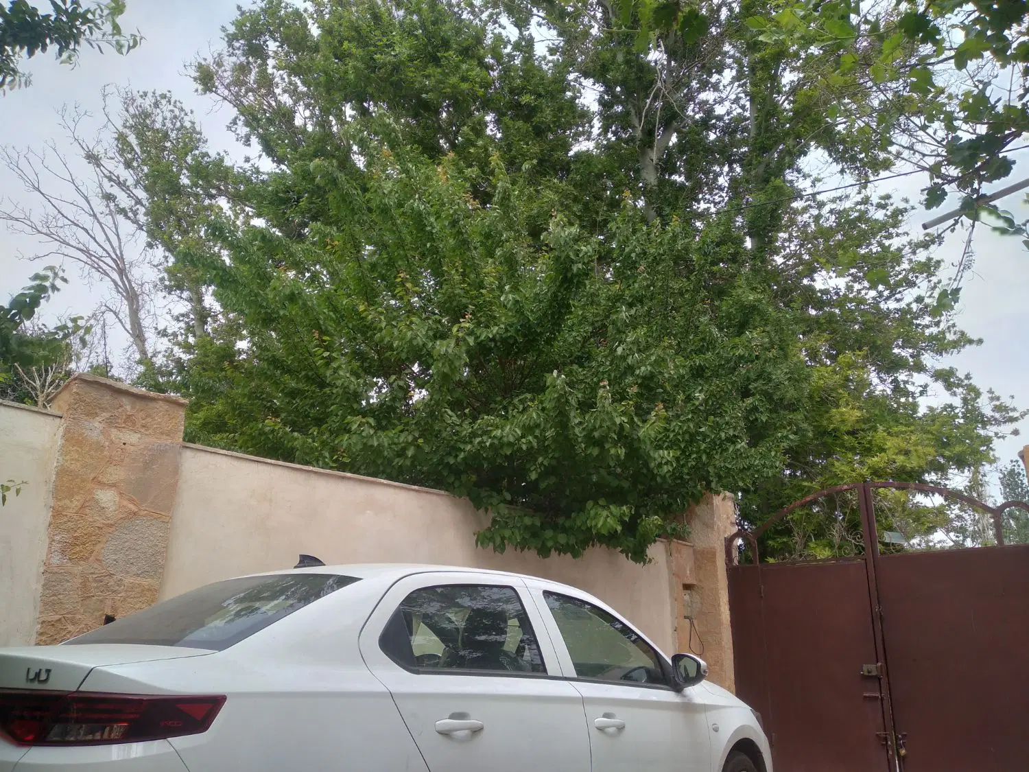 باغ ویلا شیک